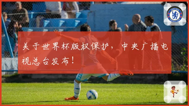 关于世界杯版权保护,中央广播电视总台发布!