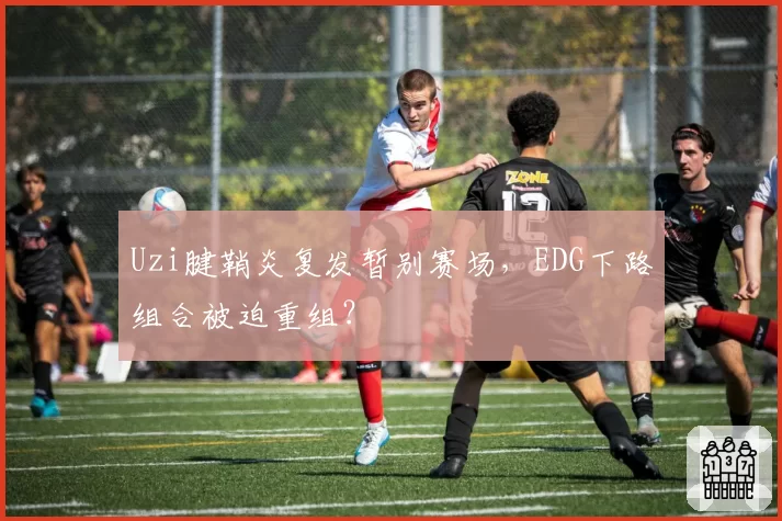Uzi腱鞘炎复发暂别赛场,EDG下路组合被迫重组?