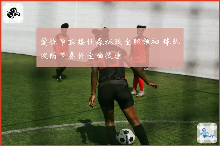 爱德华兹接任森林狼全职领袖 球队攻防节奏将全面提速