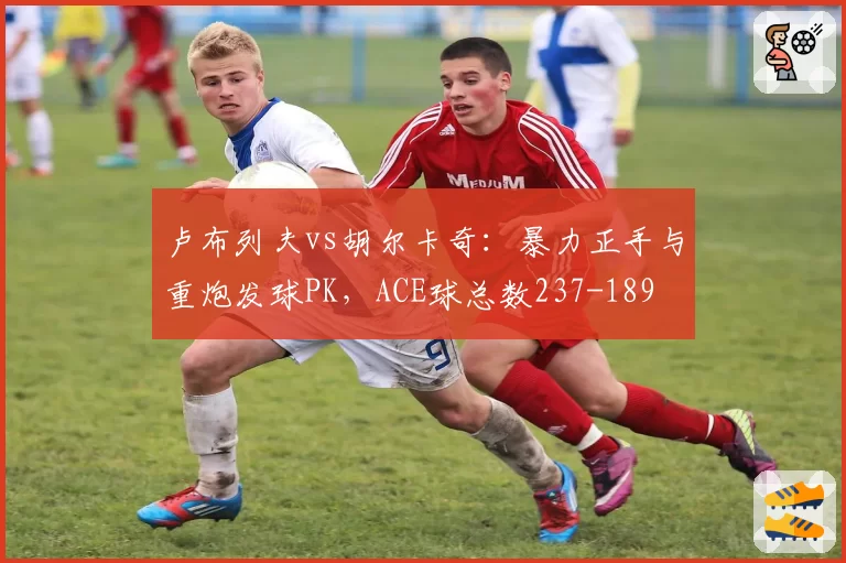 卢布列夫vs胡尔卡奇:暴力正手与重炮发球PK,ACE球总数237-189